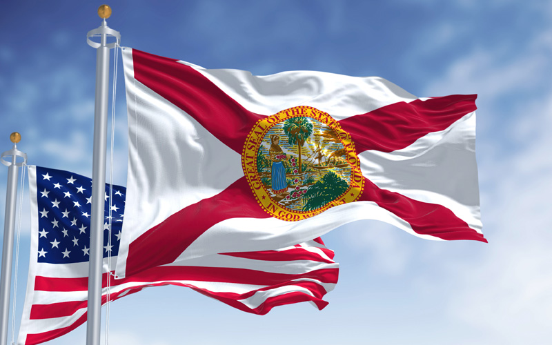 HOW TO GET FREE GOVERNMENT CELL PHONE SERVICE IN FLORIDA