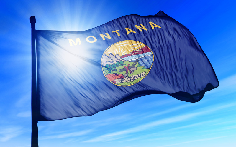 HOW TO GET FREE GOVERNMENT CELL PHONE SERVICE IN MONTANA